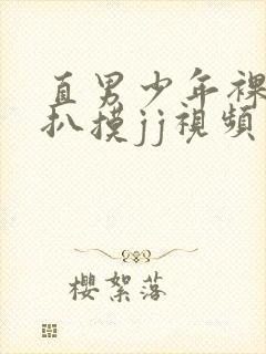 直男少年裸体被扒摸jj视频封面