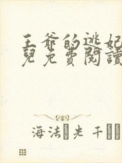 王爷的逃妃齐水儿免费阅读封面