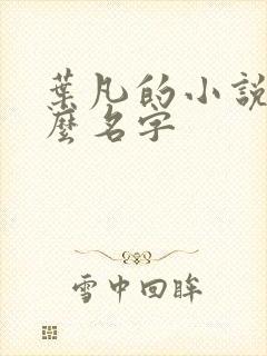 叶凡的小说叫什么名字