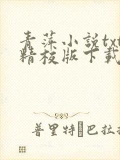 青萍小说txt精校版下载封面