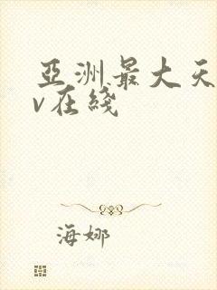 亚洲最大天堂av在线