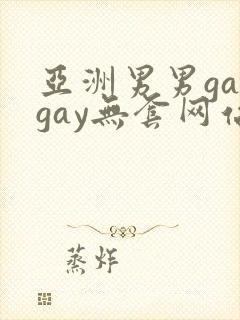 亚洲男男gaygay无套网站