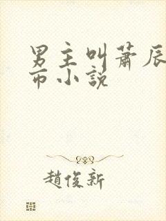 男主叫萧辰的都市小说