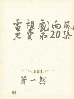 电视剧向风而行免费第20集播放