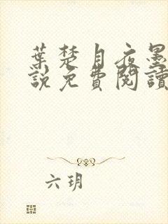 叶楚月夜墨寒小说免费阅读完结版