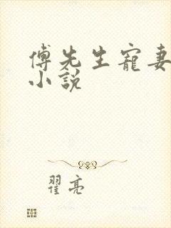 傅先生宠妻无度小说