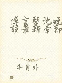 傅言声沈晚柔小说最新章节免费阅读