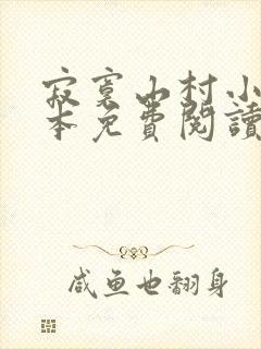 寂寞山村小说全本免费阅读