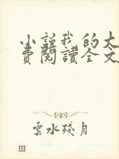 小说我的大叔免费阅读全文