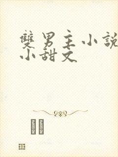 双男主小说推荐小甜文