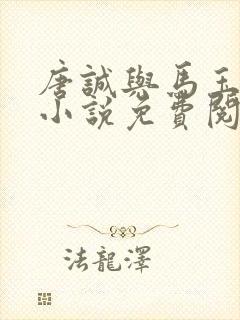 唐诚与马玉婷的小说免费阅读