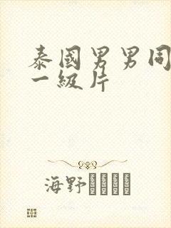 泰国男男同性恋一级片封面