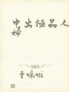 中出极品人妻少妇