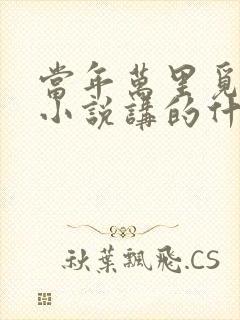 当年万里觅封侯小说讲的什么内容