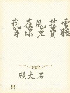 我在风花雪月里等你免费听小说