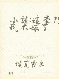 小说:这豪门,我不嫁了