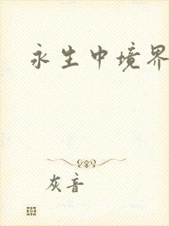 永生中境界划分封面