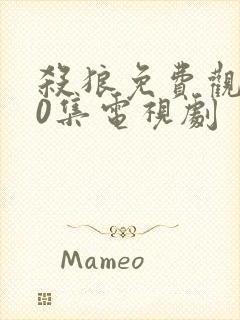 杀狼免费观看30集电视剧