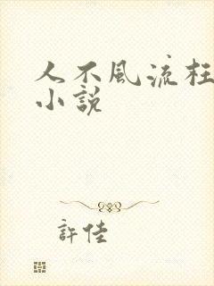 人不风流枉少年小说