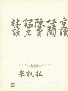 林铭陈佳重生小说免费阅读无封面