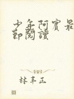 少年阿宾最新章节阅读