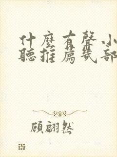 什么有声小说好听推荐几部封面