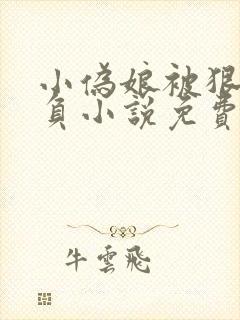 小伪娘被狠狠欺负小说免费阅读封面