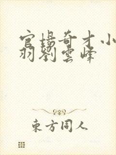 官场奇才小说陆羽刘云峰