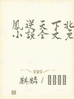 凤逆天下北月篇小说全文免费阅读