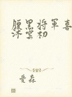 腹黑将军喜当爹沐云初