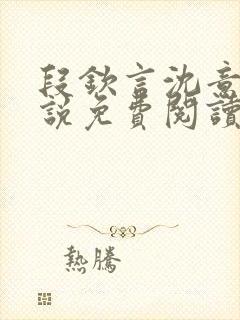 段钦言沈意眠小说免费阅读