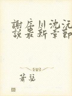 谢序川沈沅珠小说最新章节免费阅读封面