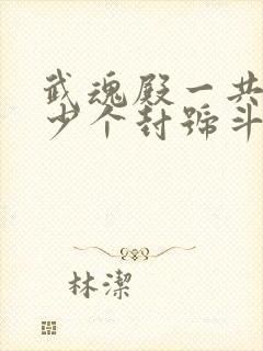 武魂殿一共有多少个封号斗罗封面