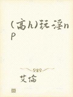 (高h)玩淫np