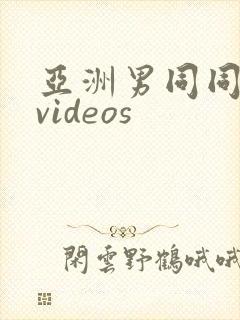 亚洲男同同性恋videos