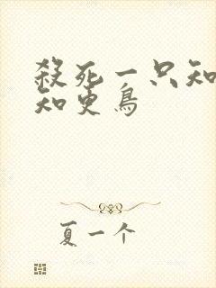 杀死一只知更鸟知更鸟