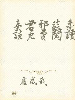 秦君邪苏梦安小说免费阅读全文封面