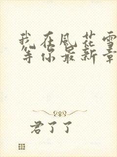 我在风花雪月里等你最新章节