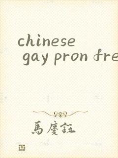 chinese gay pron free封面