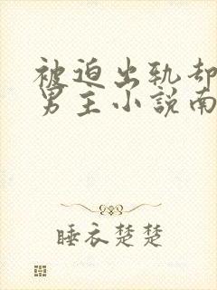 被迫出轨却上瘾男主小说南舒