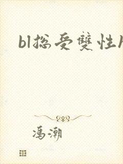 bl总受双性h封面