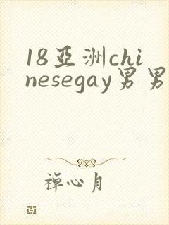 18亚洲chinesegay男男1069