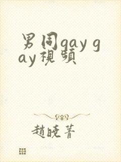 男同gay gay视频封面