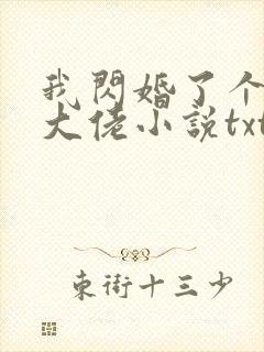 我闪婚了个财阀大佬小说txt