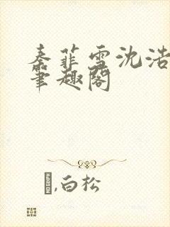 秦菲雪沈浩小说笔趣阁