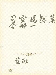 司空嫣然叶凡结合哪一封面