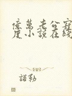 亿万老公宠妻无度小说在线阅读