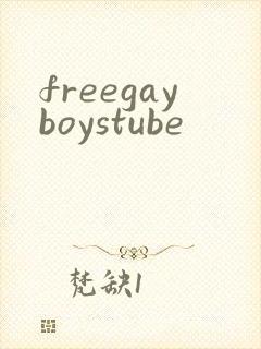 freegayboystube
