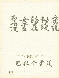 圣女的秘密之夜漫画在线观看免费全集封面