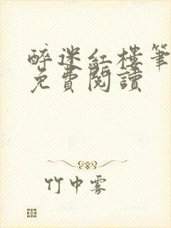 醉迷红楼笔趣阁免费阅读